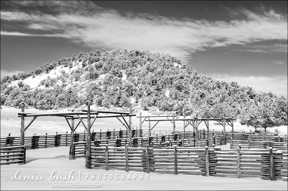 A beautifull constructed and snow covered corral creates interest in this wintry scene., cattle ranch