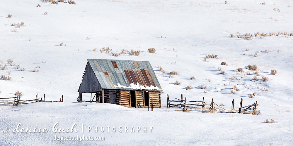 An old log cabin, weathered by the elements reminds us of a day gone by.