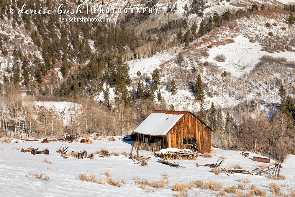 A weathered shack, surrounded by farm equipment makes a fun subject in the snow.