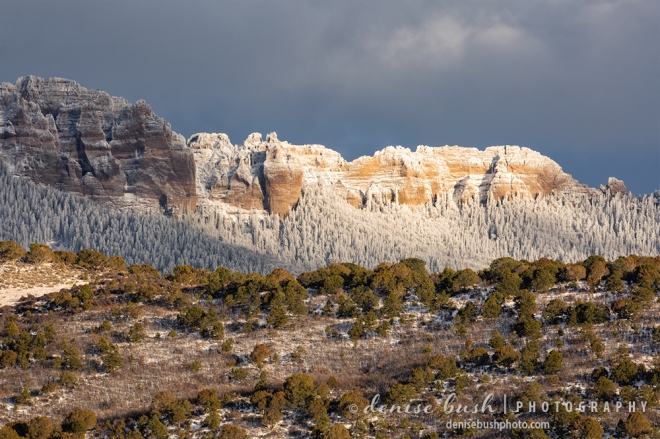 A frosty wonderland lives just beyond a hill of Pinyon Pines, near Ridgway Colorado.