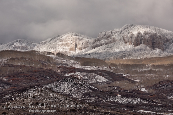 Fresh snow creates a frosty wonderland at the top of Cimarron Ridge near Ridgway Colorado!
