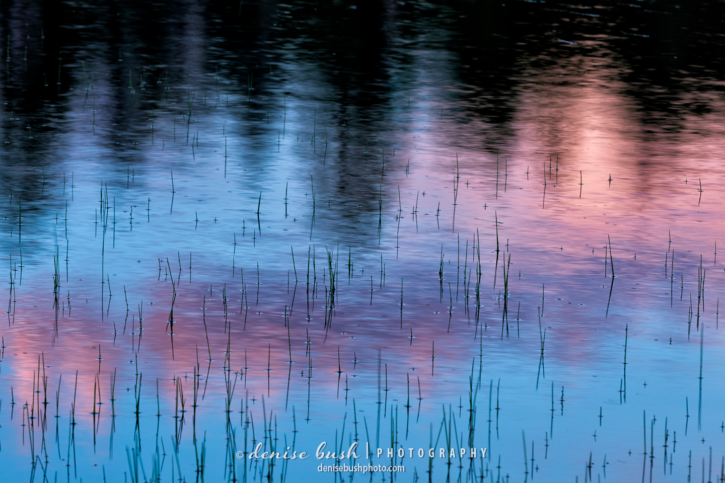 A sunset reflection creates a pleasing nature abstract.